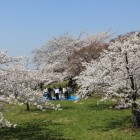 東日本大震災被害者への黙禱、二ノ丸花見広場
