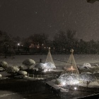 御殿跡　雪吊り