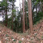 北城北側の堀切