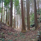 古本丸西側の堀底道