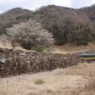 麓にある御殿の南側石垣。かっては倍くらいの高さだったが鉄道建設で持ち去られ御殿敷地内を鉄道が走る。