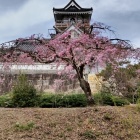 模擬天守の展望台