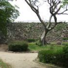 天守台(南側より）
