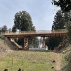 復元木橋