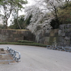 中雀門