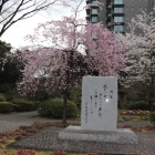 千鳥ヶ淵戦没者墓苑