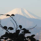 高幡城
