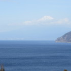 丸山城（伊豆）