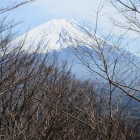 本栖城