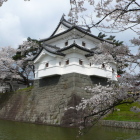 復元辰巳櫓濠越し桜越し