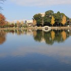 外堀池太鼓橋の有る景観