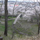 本丸北側の崖下公園瀬川に続く