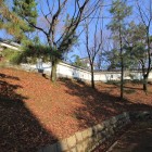 復元の土塁と土塀？