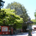梛の大樹と境内