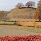 稲荷山古墳より丸墓山古墳石田陣所を見る