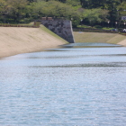復元いもり堀と鯉喉櫓台