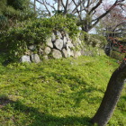 本丸中の御門桝形の奥に在る残存石垣