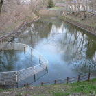 本丸南側の水堀と土塁
