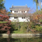 復元東櫓堀越に