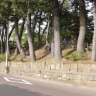 三の丸跡西側の土塁、芦城公園西側