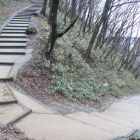 七曲登城路