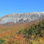 大山北壁とブナ紅葉を鍵掛峠で眺める