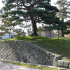 二ノ丸北東の土塁跡