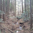 主郭手前の水堀