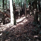 三郭虎口の土橋