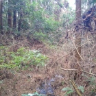 水堀が流れる