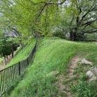 本丸西側の土塁上