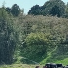 城跡公園