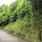 土塁