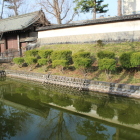 上田藩主居館表門、土塀、壕、土塁