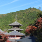 壺阪寺から高取城址