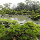 御花松濤園