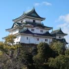 木造復元される(嘘)和歌山城天守閣
