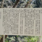 詳しい。
