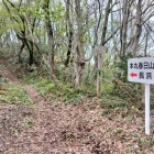 ここから桑取道へ