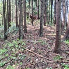 番屋砦全景2