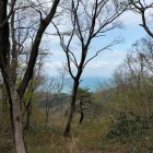 長浜砦から日本海を眺望(谷浜あたり)