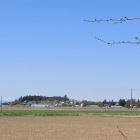 中津山城跡を望む