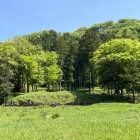 城主居館跡と背後に山城