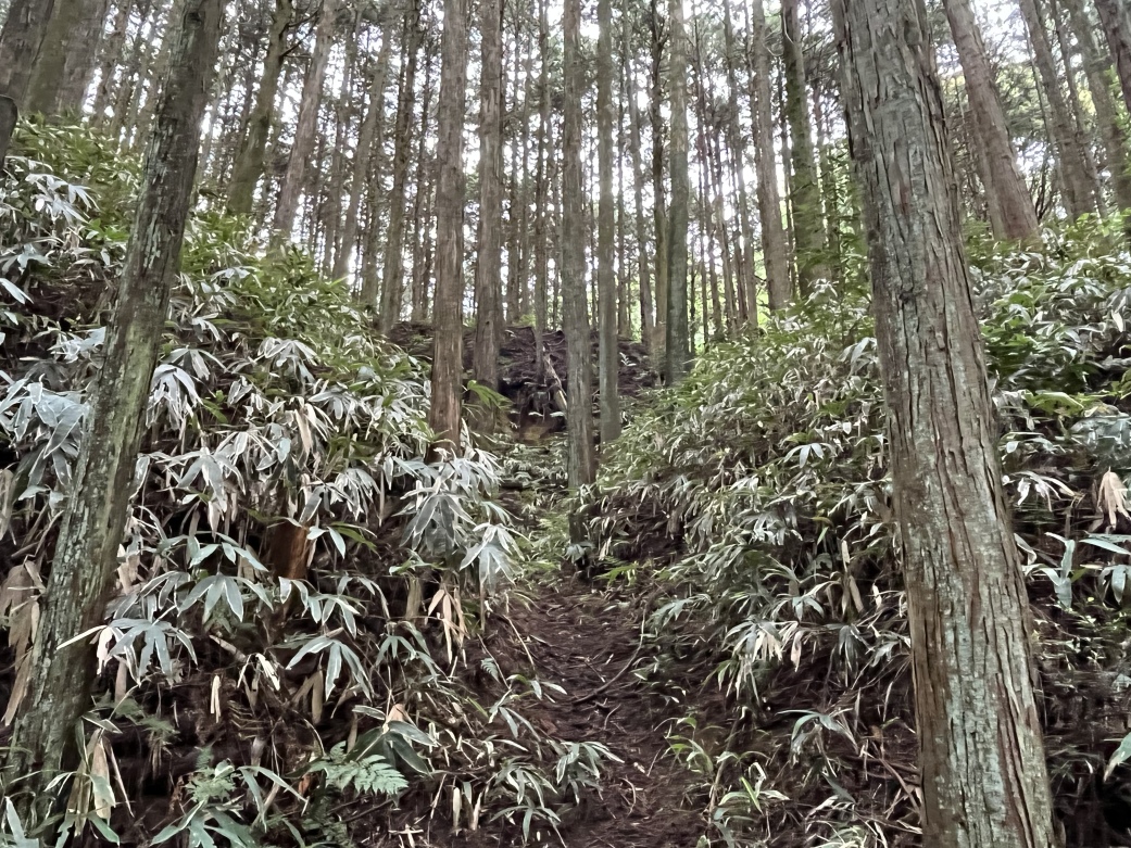 [福住城] 城びと