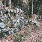 伝木村丸の石垣