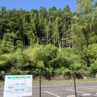 駐車場から松尾城を見る