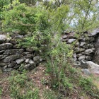 山頂部の石垣跡
