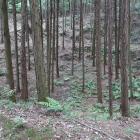 土橋北側の空池