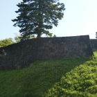 玉泉院丸南西の石垣