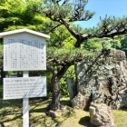 なごやじょう in なごやじょう